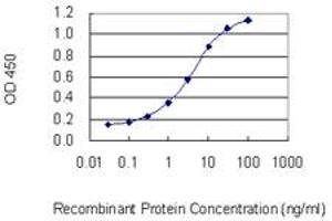 Detection limit for recombinant GST tagged MYOM1 is 0.