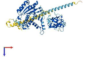 AlphaFold protein structure predicition of Human Recombinant MGAT4A Protein, UniprotID Q9UM21