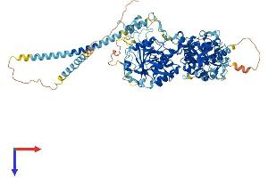 AlphaFold protein structure predicition of Human Recombinant EXTL3 Protein, UniprotID O43909