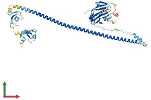 AlphaFold protein structure predicition of Human Recombinant TRIM4 Protein, UniprotID Q9C037