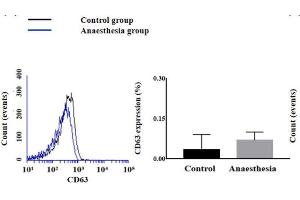Flow Cytometry (FACS) image for anti-CD63 (CD63) (AA 120-175) antibody (ABIN1440014)