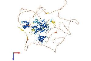 AlphaFold protein structure predicition of Mouse Recombinant Tdrd3 Protein, UniprotID Q91W18