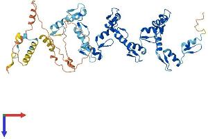 AlphaFold protein structure predicition of Human Recombinant ZNF136 Protein, UniprotID P52737