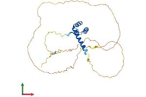 AlphaFold protein structure predicition of Mouse Recombinant Otx2 Protein, UniprotID P80206