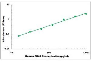 Representative Standard Curve (CD40 Kit ELISA)