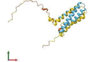 AlphaFold protein structure predicition of Mouse Recombinant Cmtm5 Protein, UniprotID Q9D6G9