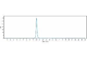 The purity of Anti-KLK2 / Kallikrein 2 Reference Antibody (JNJ-69086420) is 100 % , determined by SEC-HPLC. (Recombinant Kallikrein 2 anticorps)