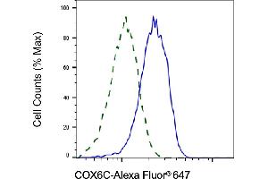 Validation of COX6C knockdown using flow cytometry. (COX6C anticorps)