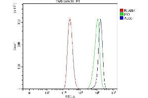 Flow Cytometry analysis of THP-1 cells using anti-ALG3 antibody (ABIN7602167). (ALG3 anticorps  (AA 61-438))