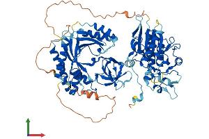 AlphaFold protein structure predicition of Human Recombinant UBASH3A Protein, UniprotID P57075