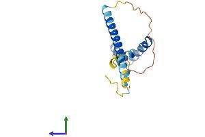AlphaFold protein structure predicition of Human Recombinant SPA17 Protein, UniprotID Q15506