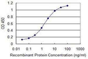 Detection limit for recombinant GST tagged CTNNBIP1 is 0. (CTNNBIP1 anticorps  (AA 1-81))