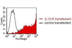 FACS analysis of BOSC23 cells using C8.