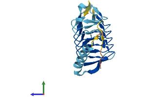 AlphaFold protein structure predicition of Mouse Recombinant Dctn5 Protein, UniprotID Q9QZB9