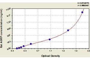 Typical Standard Curve (AGRP Kit ELISA)