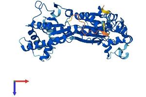 AlphaFold protein structure predicition of Human Recombinant PFKFB4 Protein, UniprotID Q16877
