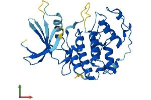 AlphaFold protein structure predicition of Mouse Recombinant Cdk5 Protein, UniprotID P49615