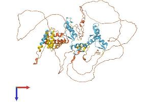 AlphaFold protein structure predicition of Mouse Recombinant Bcl6 Protein, UniprotID P41183