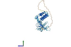 AlphaFold protein structure predicition of Mouse Recombinant Tcea2 Protein, UniprotID Q9QVN7
