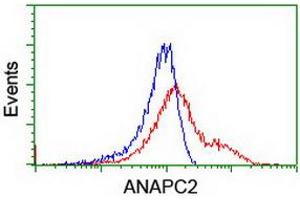 HEK293T cells transfected with either RC207539 overexpress plasmid (Red) or empty vector control plasmid (Blue) were immunostained by anti-ANAPC2 antibody (ABIN2454934), and then analyzed by flow cytometry. (ANAPC2 anticorps)
