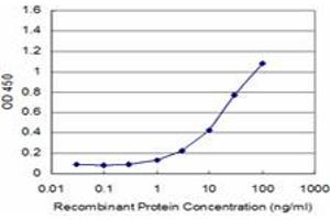 Detection limit for recombinant GST tagged KAL1 is approximately 1ng/ml as a capture antibody.
