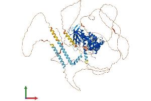AlphaFold protein structure predicition of Human Recombinant IQSEC1 Protein, UniprotID Q6DN90