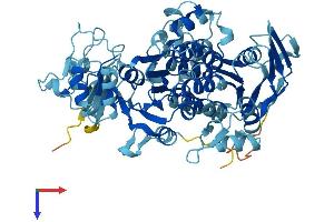 AlphaFold protein structure predicition of Human Recombinant ABCE1 Protein, UniprotID P61221