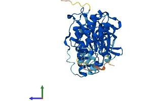 AlphaFold protein structure predicition of Human Recombinant MAPK11 Protein, UniprotID Q15759
