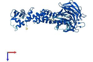 AlphaFold protein structure predicition of Human Recombinant KLHL12 Protein, UniprotID Q53G59