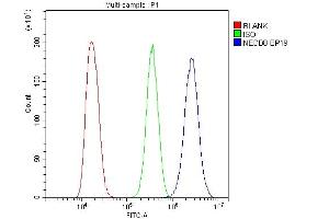 Flow Cytometry analysis of A431 cells using anti-NEDD8 antibody (ABIN4886679).