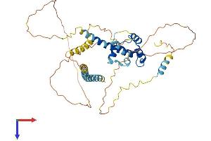 AlphaFold protein structure predicition of Human Recombinant BSDC1 Protein, UniprotID Q9NW68