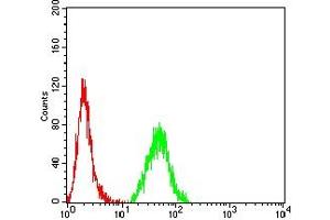 Flow cytometric analysis of Hela cells using CNN3 mouse mAb (green) and negative control (red).