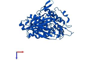 AlphaFold protein structure predicition of Human Recombinant ACAA2 Protein, UniprotID P42765