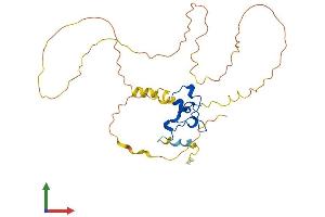 AlphaFold protein structure predicition of Human Recombinant NANOS1 Protein, UniprotID Q8WY41