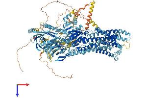 AlphaFold protein structure predicition of Human Recombinant ATP8B3 Protein, UniprotID O60423