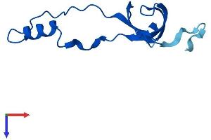 AlphaFold protein structure predicition of Human Recombinant RPL36A Protein, UniprotID P83881