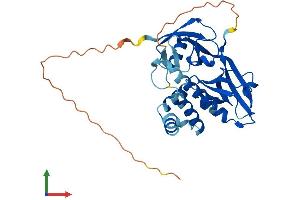 AlphaFold protein structure predicition of Human Recombinant GIPC2 Protein, UniprotID Q8TF65
