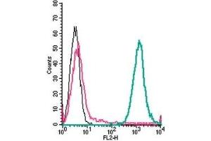 Cell surface detection of P2Y6 by direct flow cytometry in live intact mouse J774 macrophage cells: (black line) Cells.