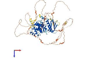 AlphaFold protein structure predicition of Human Recombinant FRMD7 Protein, UniprotID Q6ZUT3