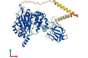 AlphaFold protein structure predicition of Human Recombinant GALNT6 Protein, UniprotID Q8NCL4