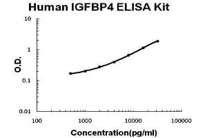 Human IGFBP4 PicoKine ELISA Kit standard curve (IGFBP4 Kit ELISA)