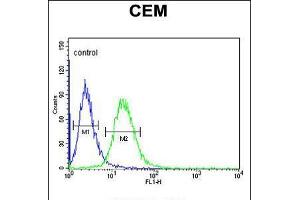 Flow cytometric analysis of CEM cells (right histogram) compared to a negative control cell (left histogram).