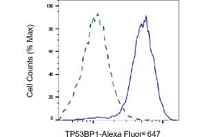 Validation of TP53BP1 knockdown using flow cytometry. (TP53BP1 anticorps)