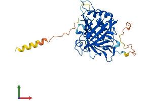 AlphaFold protein structure predicition of Human Recombinant CA10 Protein, UniprotID Q9NS85