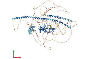 AlphaFold protein structure predicition of Mouse Recombinant Ppp1r13b Protein, UniprotID Q62415