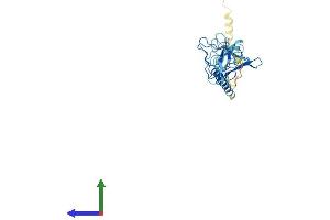 AlphaFold protein structure predicition of Mouse Recombinant Sgcz Protein, UniprotID Q8BX51