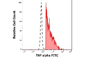 Separation of human TNF alpha positive CD3 positive cells (red-filled) from TNF alpha negative CD3 negative cells (black-dashed) in flow cytometry analysis (intracellular staining) of human PHA stimulated peripheral blood mononuclear cells stained using anti-human TNF alpha (MAb11) FITC antibody (4 μL reagent per milion cells in 100 μL of cell suspension).
