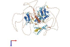 AlphaFold protein structure predicition of Human Recombinant BAG6 Protein, UniprotID P46379
