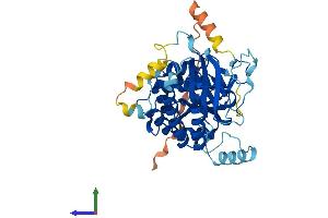 AlphaFold protein structure predicition of Human Recombinant PIP5KL1 Protein, UniprotID Q5T9C9