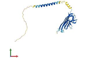 AlphaFold protein structure predicition of Human Recombinant TNFSF14 Protein, UniprotID O43557